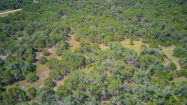 475 Fischer Trl, Wimberley, TX 78676 - photo 22