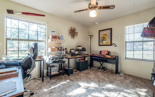 475 Fischer Trl, Wimberley, TX 78676 - photo 31