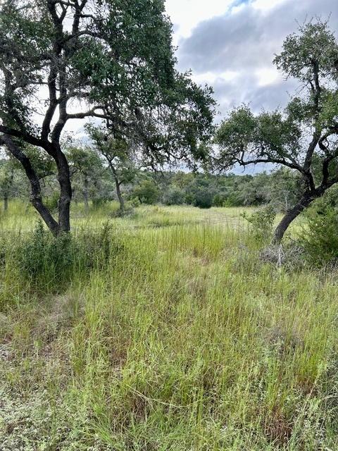475 Fischer Trl, Wimberley, TX 78676 - photo 36