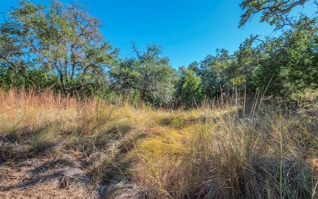 475 Fischer Trl, Wimberley, TX 78676 - photo 37