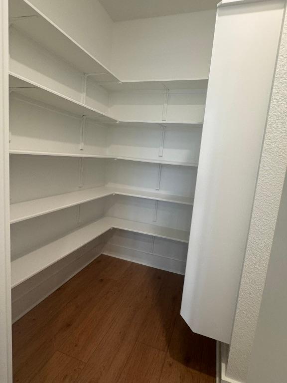 278 Smithsonian Ln, Kyle, TX 78640 - view of pantry