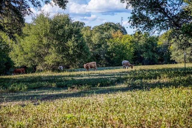 TBD Bauer Rd, Fayetteville, TX 78940