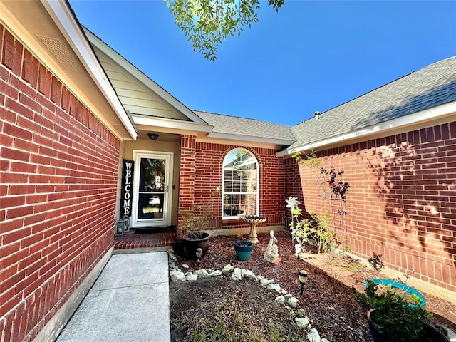 view of exterior entry featuring roof with shingles and brick siding