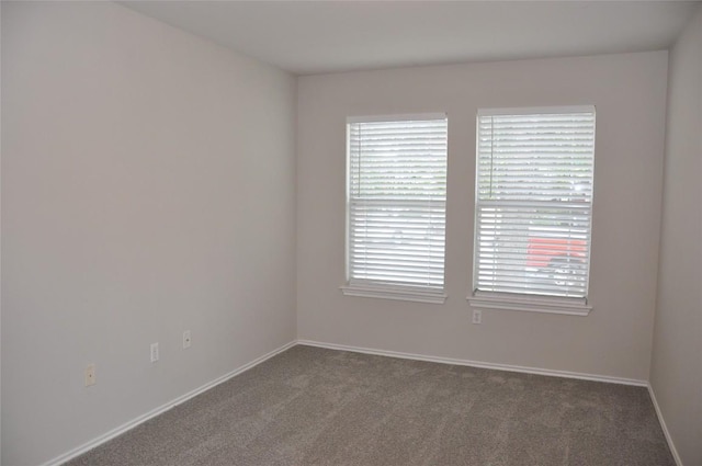 12817 Paloma Blanca Way, Del Valle, TX 78617 - unfurnished room featuring carpet floors