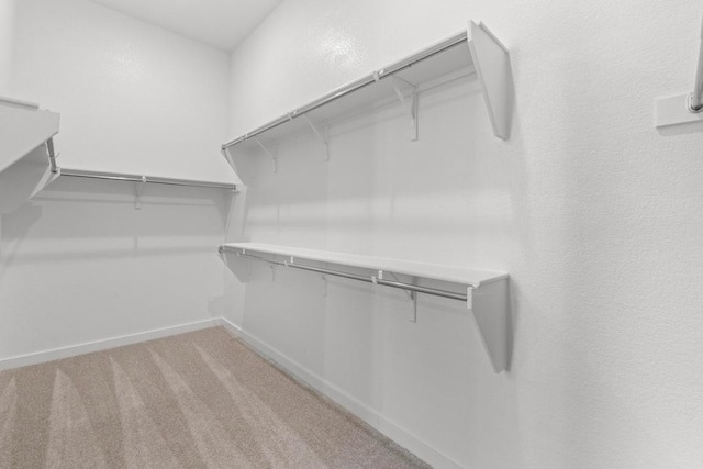 2109 Tobiano Trce, Georgetown, TX 78633 - walk in closet with light carpet