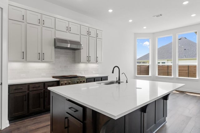 2109 Tobiano Trce, Georgetown, TX 78633 - kitchen with under cabinet range hood, a sink, tasteful backsplash, an island with sink, and dark wood-style floors