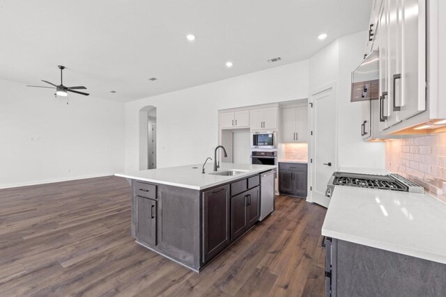 2109 Tobiano Trce, Georgetown, TX 78633 - kitchen featuring a sink, appliances with stainless steel finishes, a ceiling fan, dark wood-style floors, and decorative backsplash