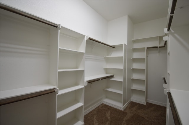 spacious closet featuring dark colored carpet