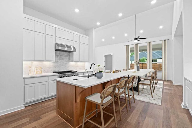 2113 Tobiano Trce, Georgetown, TX 78633 - kitchen with exhaust hood, decorative backsplash, a center island with sink, light countertops, and a breakfast bar