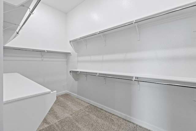 2113 Tobiano Trce, Georgetown, TX 78633 - walk in closet with carpet