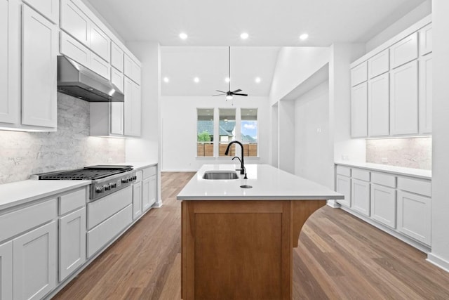 2113 Tobiano Trce, Georgetown, TX 78633 - kitchen featuring a sink, stainless steel gas cooktop, under cabinet range hood, wood finished floors, and an island with sink