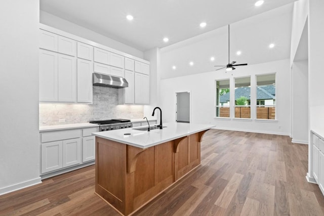 2113 Tobiano Trce, Georgetown, TX 78633 - kitchen with under cabinet range hood, decorative backsplash, a center island with sink, light countertops, and recessed lighting