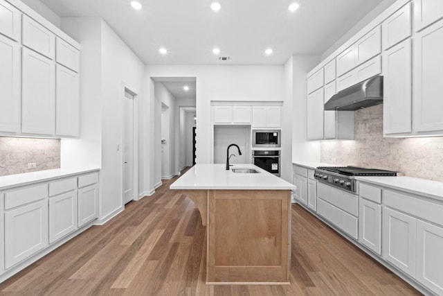 2113 Tobiano Trce, Georgetown, TX 78633 - kitchen with a sink, stainless steel appliances, under cabinet range hood, backsplash, and recessed lighting