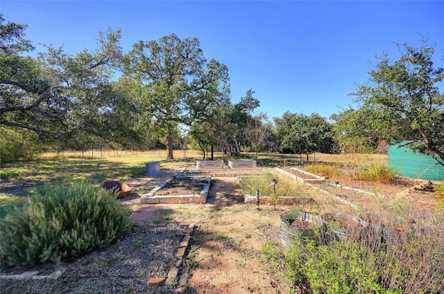 view of yard with a garden