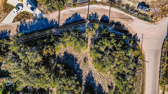10722 Lake Park Dr, Dripping Springs, TX 78620