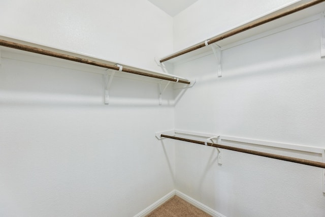 spacious closet with carpet