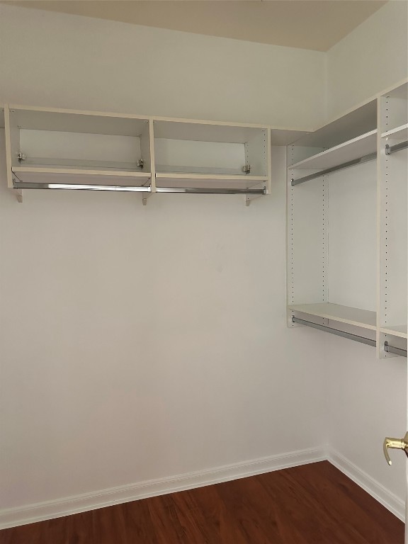 spacious closet featuring dark hardwood / wood-style flooring