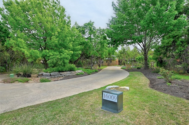 view of community with a yard