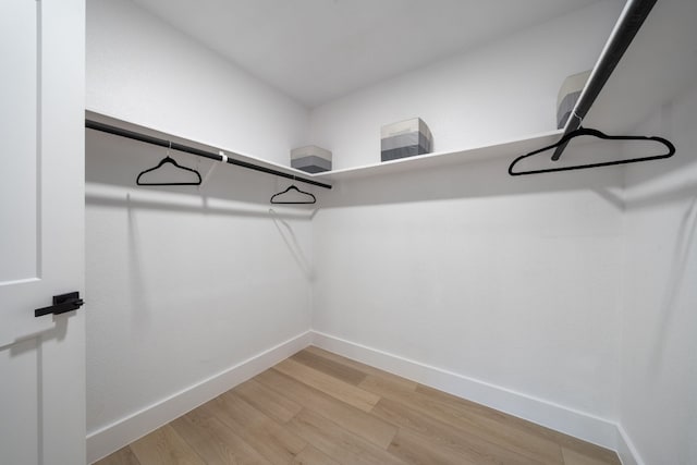 spacious closet with wood-type flooring