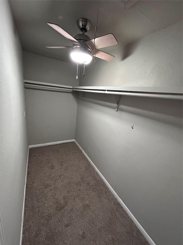 5708 Spring Meadow Rd, Austin, TX 78744 - photo 17