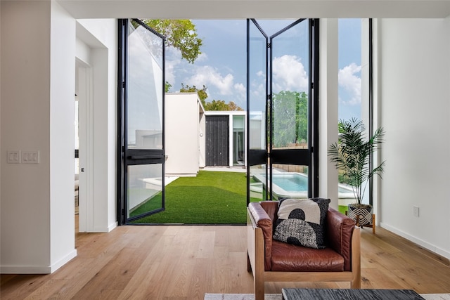 entryway featuring light wood-type flooring and a wealth of natural light