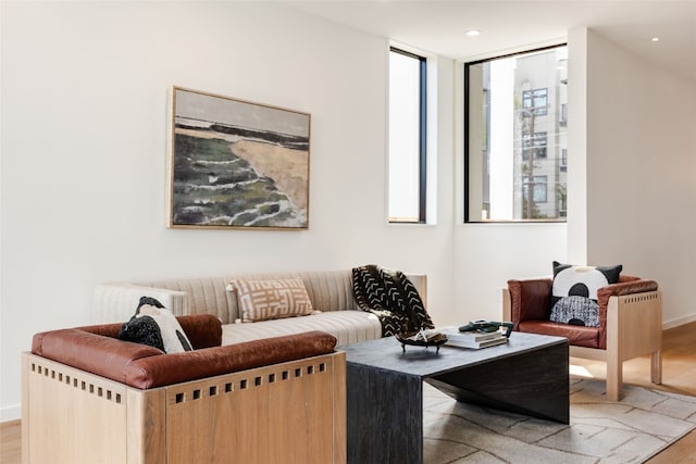 living room featuring light hardwood / wood-style floors and floor to ceiling windows