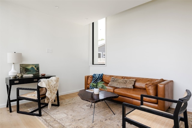 living room with light hardwood / wood-style floors