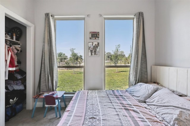 287 La Fortuna Dr, Del Valle, TX 78617 - bedroom featuring multiple windows and carpet