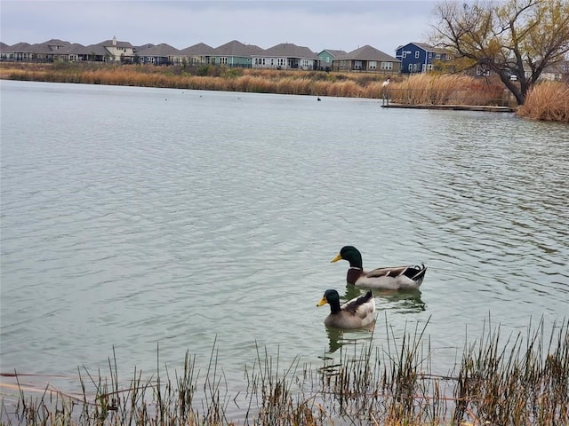 property view of water