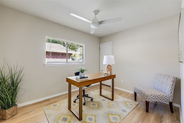 office featuring ceiling fan and light wood-type flooring