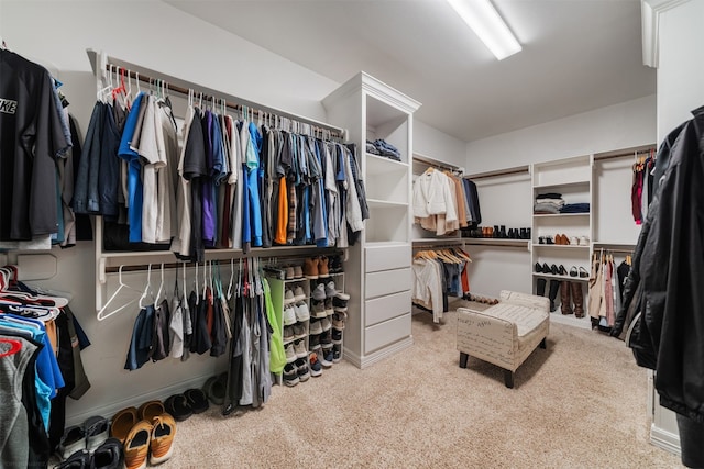 spacious closet with light carpet