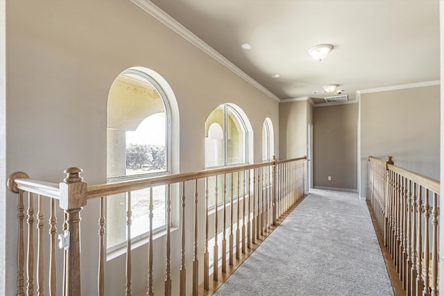 hallway featuring ornamental molding and carpet