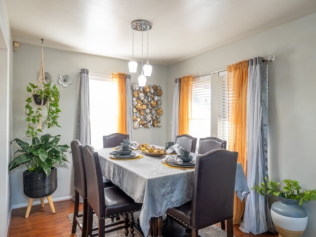 dining room featuring hardwood / wood-style floors