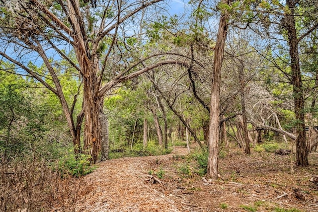 view of local wilderness