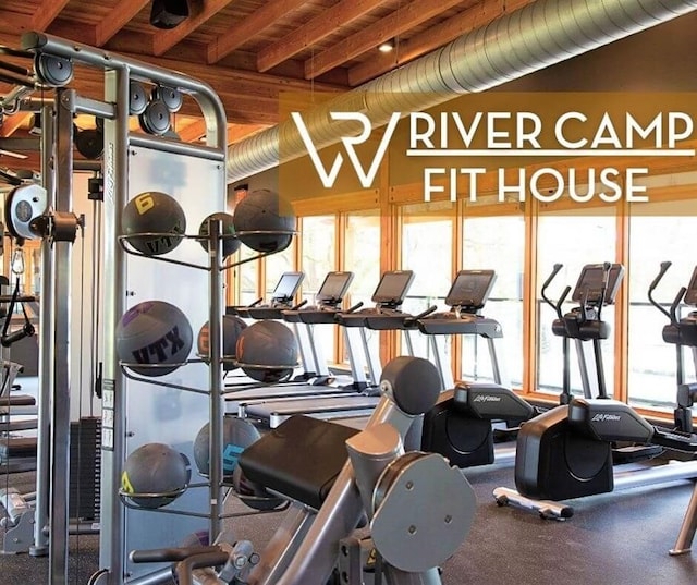 1205 Summer Moon Dr, Georgetown, TX 78628 - gym with plenty of natural light