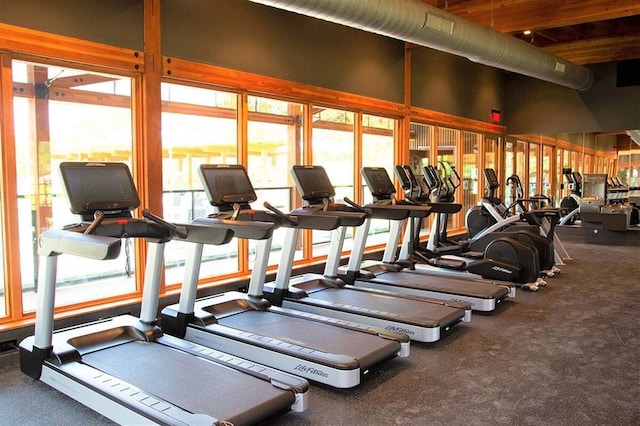 1205 Summer Moon Dr, Georgetown, TX 78628 - exercise room with plenty of natural light