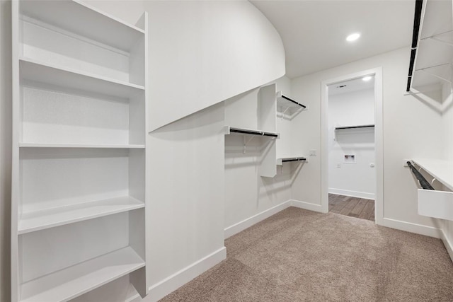 walk in closet featuring carpet floors