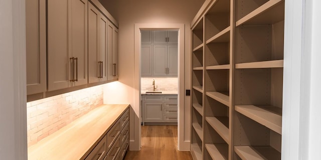 pantry with a sink