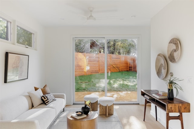 interior space featuring plenty of natural light, ceiling fan, and light wood-type flooring