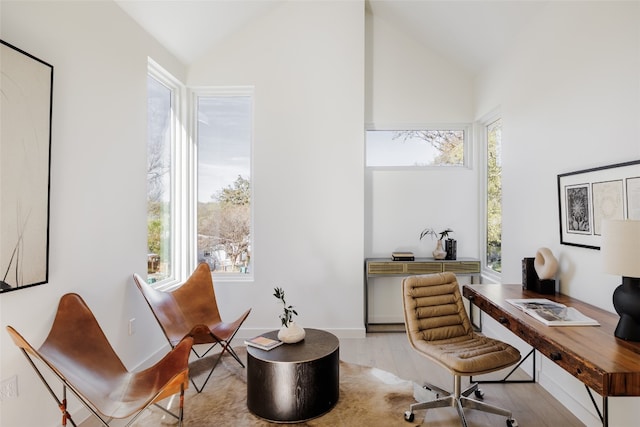 office featuring a wealth of natural light, light hardwood / wood-style floors, and vaulted ceiling