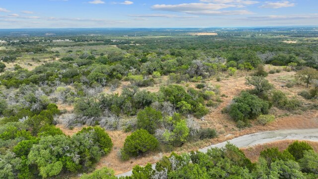 LOTK10066 Bald Eagle, Horseshoe Bay, TX 78657