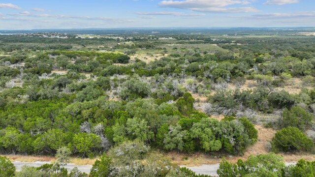 LOTK10066 Bald Eagle, Horseshoe Bay, TX 78657