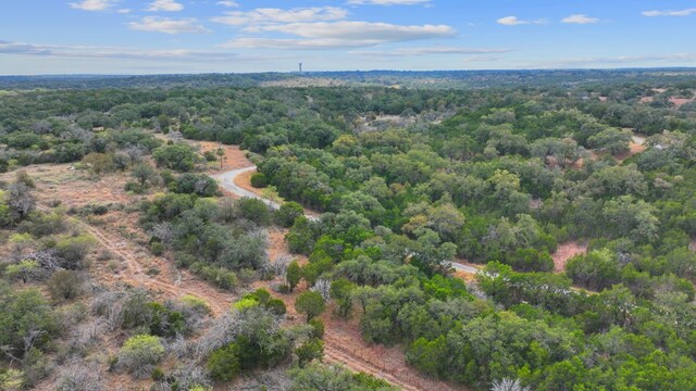 LOTK10066 Bald Eagle, Horseshoe Bay, TX 78657