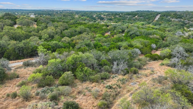 LOTK10066 Bald Eagle, Horseshoe Bay, TX 78657