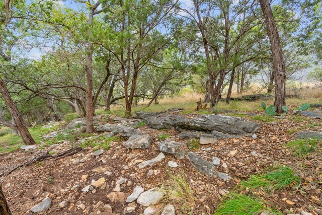 LOTK10066 Bald Eagle, Horseshoe Bay, TX 78657