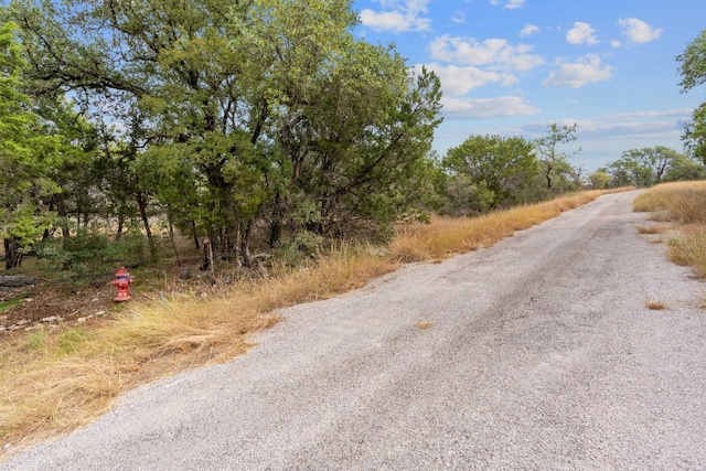 LOTK10066 Bald Eagle, Horseshoe Bay, TX 78657