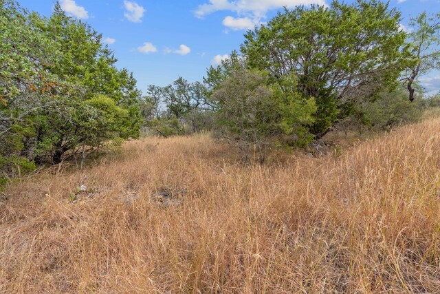 LOTK10066 Bald Eagle, Horseshoe Bay, TX 78657