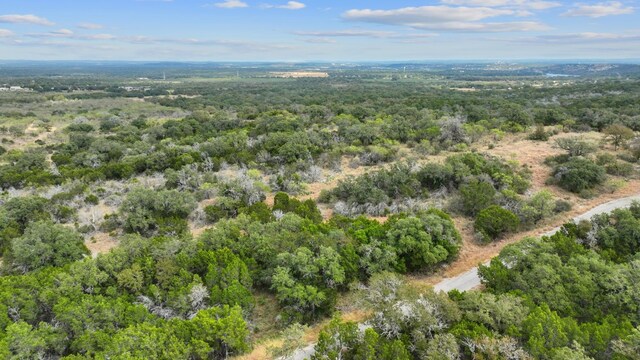 LOTK10066 Bald Eagle, Horseshoe Bay, TX 78657
