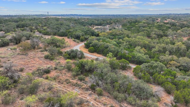 LOTK10066 Bald Eagle, Horseshoe Bay, TX 78657
