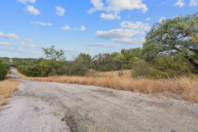 LOTK10066 Bald Eagle, Horseshoe Bay, TX 78657
